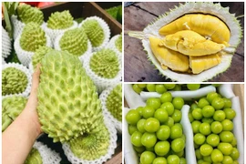 3 loại quả đắt đỏ bất ngờ thành hàng bình dân bán đầy chợ 