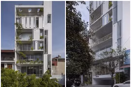 Phủ kín cây xanh, nhà hướng Tây tránh nắng hiệu quả 