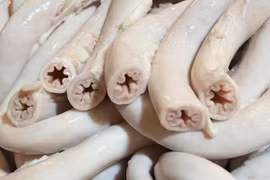 Sự thật lòng se điếu giá rẻ “đổ bộ” chợ mạng 