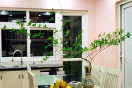 Chị em Hà thành rộ mốt mua cành lá nhập khẩu từ Nhật về cắm