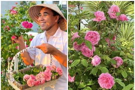 Vườn hồng nhiều người “mơ cả đời” của vợ chồng MC Quyền Linh 