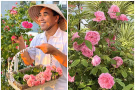 Vườn hồng nhiều người “mơ cả đời” của vợ chồng MC Quyền Linh 