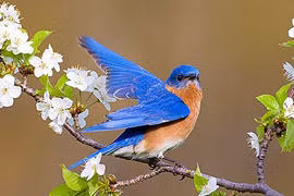 Ai sinh tháng Âm lịch này vận may không cạn, càng chăm chỉ, càng nhiều quý nhân