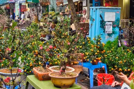 Chợ hoa Hàng Lược nhộn nhịp ngày cận Tết 