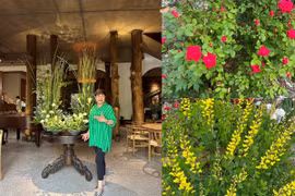 Vườn hoa đẹp mê ly trong nhà nữ đại gia là vợ cũ Đàm Vĩnh Hưng tại Mỹ