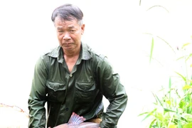 Nuôi thành công loài cá lăng đuôi đỏ quý hiếm trên sông Sêrêpốk