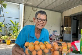 Bí quyết trồng thanh trà ngọt của lão nông ở miền Tây