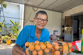 Bí quyết trồng thanh trà ngọt của lão nông ở miền Tây