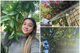 Khu vườn ngập hoa trái trong nhà cố ca sĩ Phi Nhung ở Mỹ 