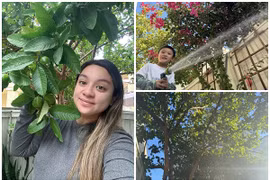 Khu vườn ngập hoa trái trong nhà cố ca sĩ Phi Nhung ở Mỹ 