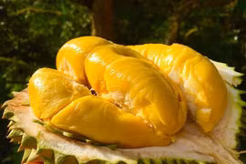 Sầu riêng ngon nhất thế giới giá gần 1 triệu đồng/kg, cực hiếm hàng