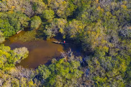 Vẻ đẹp rừng ngập mặn nguyên sinh duy nhất còn lại phá Tam Giang 