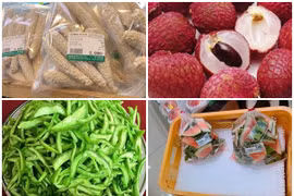 5 thứ được bán với giá cao ở nước ngoài nhưng lại là phế phẩm ở Việt Nam