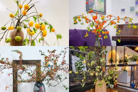 4 cành quả lạ cắm bình “làm mưa làm gió” thị trường Việt