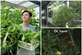 Penthouse hơn 20 tỷ có sân vườn xanh mướt của Ngô Kiến Huy