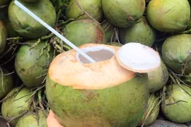 Dừa tươi tăng giá gấp đôi vì nắng nóng