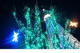 Loạt cao ốc thế giới đẹp lung linh mùa Giáng sinh