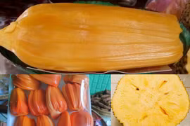 3 giống mít lạ gây sốt ở Việt Nam đắt đỏ cỡ nào?