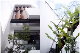 Báo Mỹ ca tụng nhà hướng Tây mát rượi quanh năm giữa Sài Gòn 