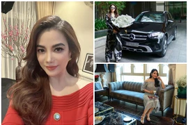 Khối tài sản đồ sộ ai cũng ngỡ ngàng của Trương Ngọc Ánh