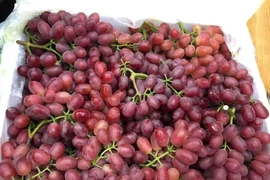 Sự thật "hãi hùng" đằng sau loại nho kẹo rừng đang gây sốt thị trường