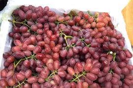 Sự thật "hãi hùng" đằng sau loại nho kẹo rừng đang gây sốt thị trường