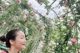 Vườn hồng hoành tráng như rạp đám cưới của Ốc Thanh Vân
