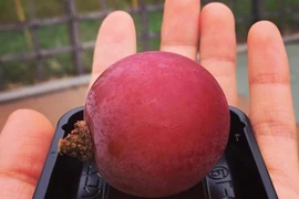 Thứ hoa quả đắt kinh hoàng nhà giàu Việt cũng chỉ dám mua 1 quả ăn thử