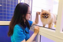 Những công việc làm xuyên Tết nhưng “hốt bạc”