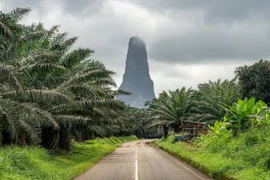 “Cây kim đá” khổng lồ giữa khu rừng đầy rắn ở châu Phi