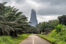 “Cây kim đá” khổng lồ giữa khu rừng đầy rắn ở châu Phi