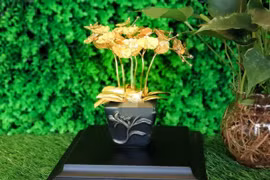 Gợi ý những món quà độc lạ, ý nghĩa tặng thầy cô ngày 20/11