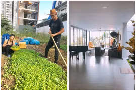 Mát mắt biệt thự trồng rau giữa phố của bố mẹ Hà Hồ