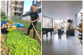 Mát mắt biệt thự trồng rau giữa phố của bố mẹ Hà Hồ