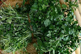 Bất ngờ loại “rau tốt nhất thế giới” bán đầy ở chợ Việt