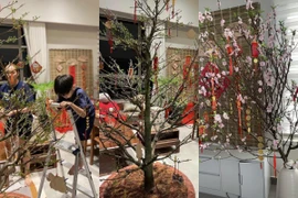 Á hậu Diễm Châu khoe penthouse lộng lẫy