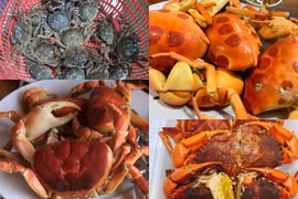 4 loại cua đặc sản, ngon trứ danh Việt Nam 