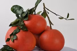 Bật mí loại bưởi tiến vua cứ đến Tết nhà giàu tranh nhau mua