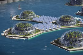 Kỳ quặc thú mua vui của tỷ phú thế giới 