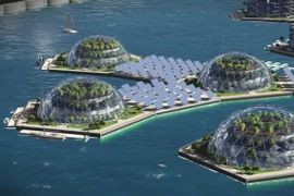 Kỳ quặc thú mua vui của tỷ phú thế giới 