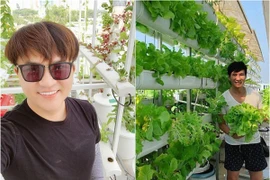 Đã mắt vườn rau thủy canh xanh tốt trên sân thượng nhà sao Việt