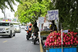 Rau quả chưa thoát cảnh được mùa rớt giá 