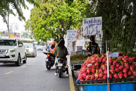 Rau quả chưa thoát cảnh được mùa rớt giá 