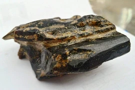 Được ví như "vua của các loại hương liệu", trầm kỳ nam đắt đỏ thế nào?