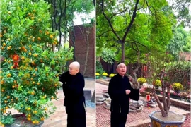 Bên trong biệt phủ 5.000m2 của Xuân Hinh ngày Tết