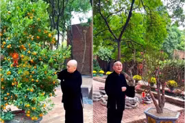 Bên trong biệt phủ 5.000m2 của Xuân Hinh ngày Tết