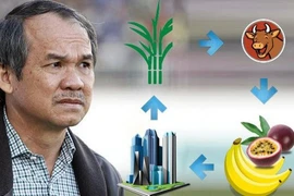 "Lộ" khoản vay ngân hàng nghìn tỷ của công ty bầu Đức 