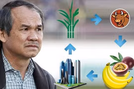 "Lộ" khoản vay ngân hàng nghìn tỷ của công ty bầu Đức 