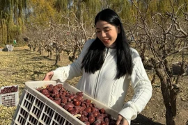 Trước khi bị bắt, Hằng Du Mục kinh doanh gì?