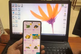 Thương mại điện tử - “cứu cánh” hàng Việt giữa đại dịch COVID-19